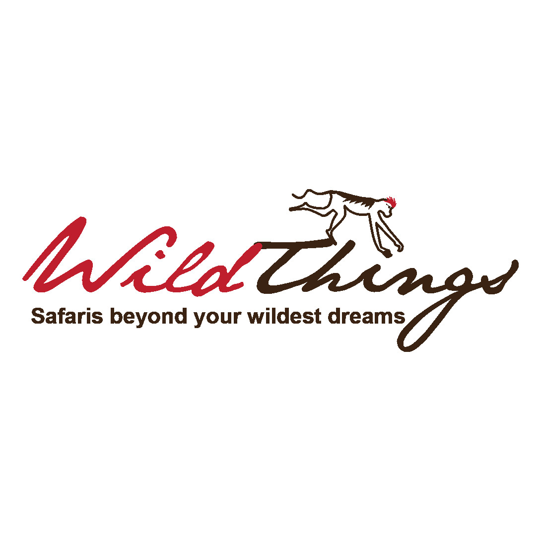 Wild Thing Safaris Recognized